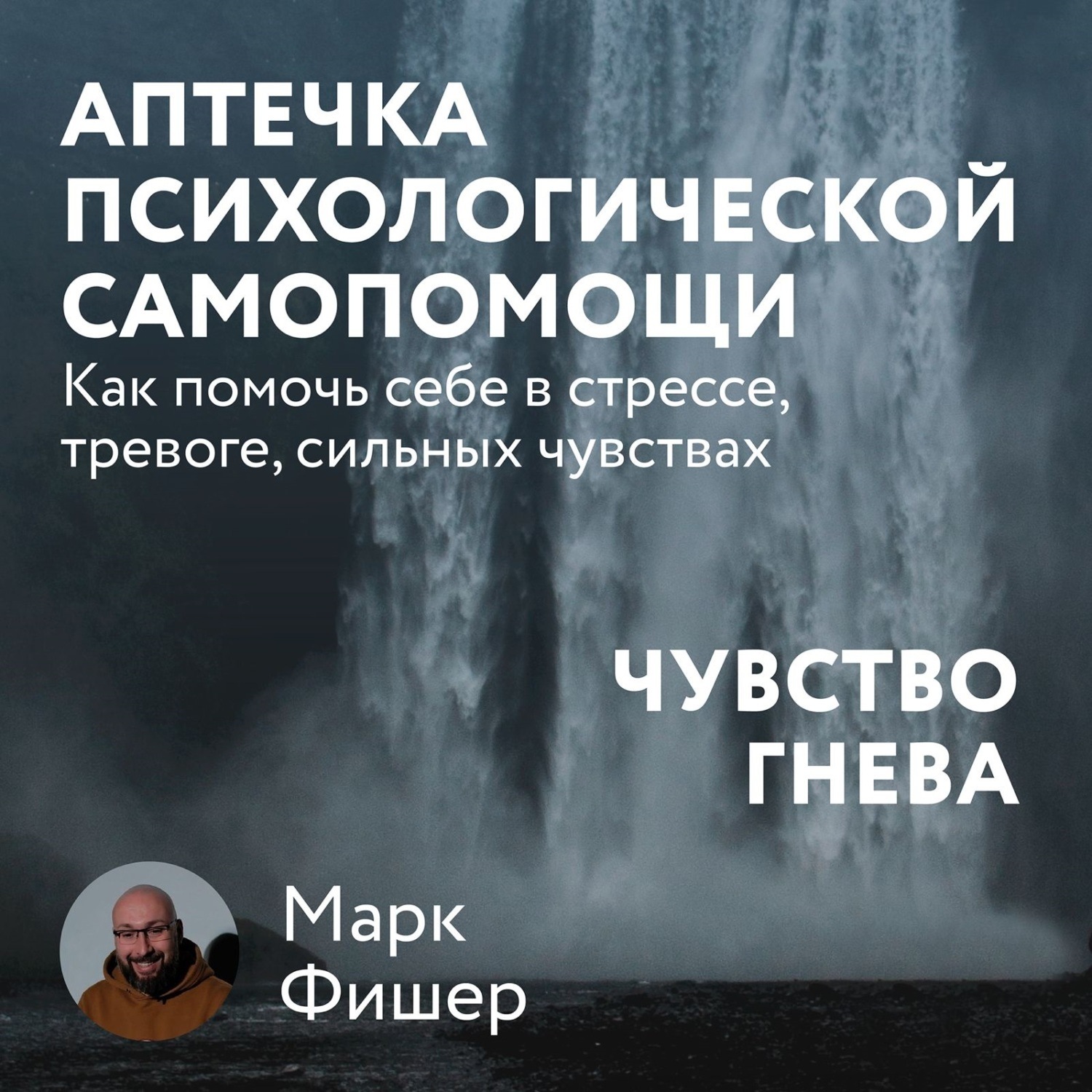 Обложка книги «Аптечка психологической самопомощи: Чувство гнева»