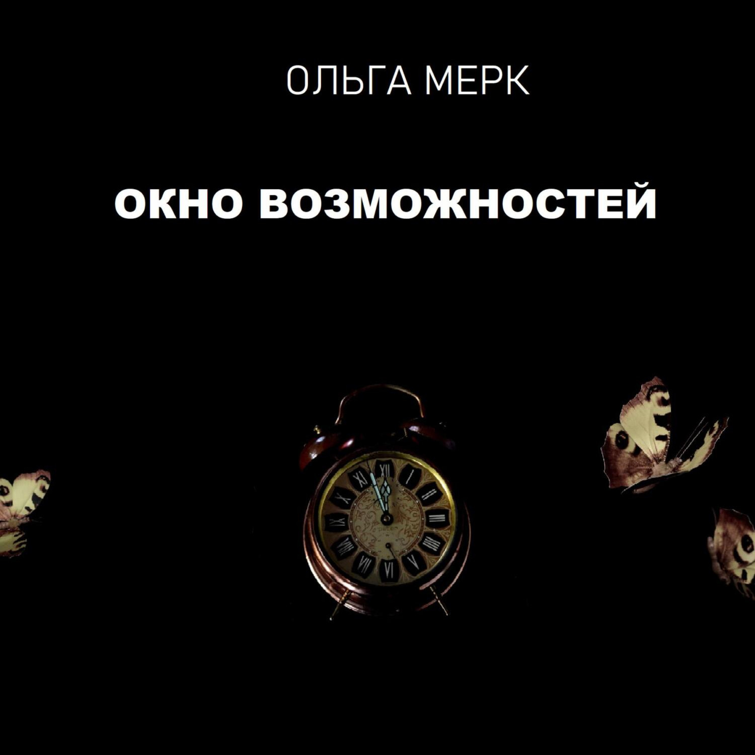 Обложка книги «Окно возможностей»