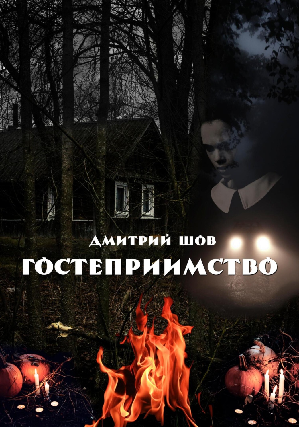Обложка книги «Гостеприимство»