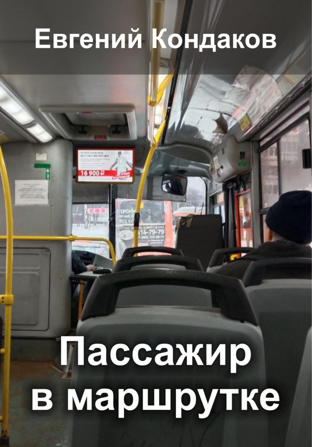 Обложка книги «Пассажир в маршрутке»