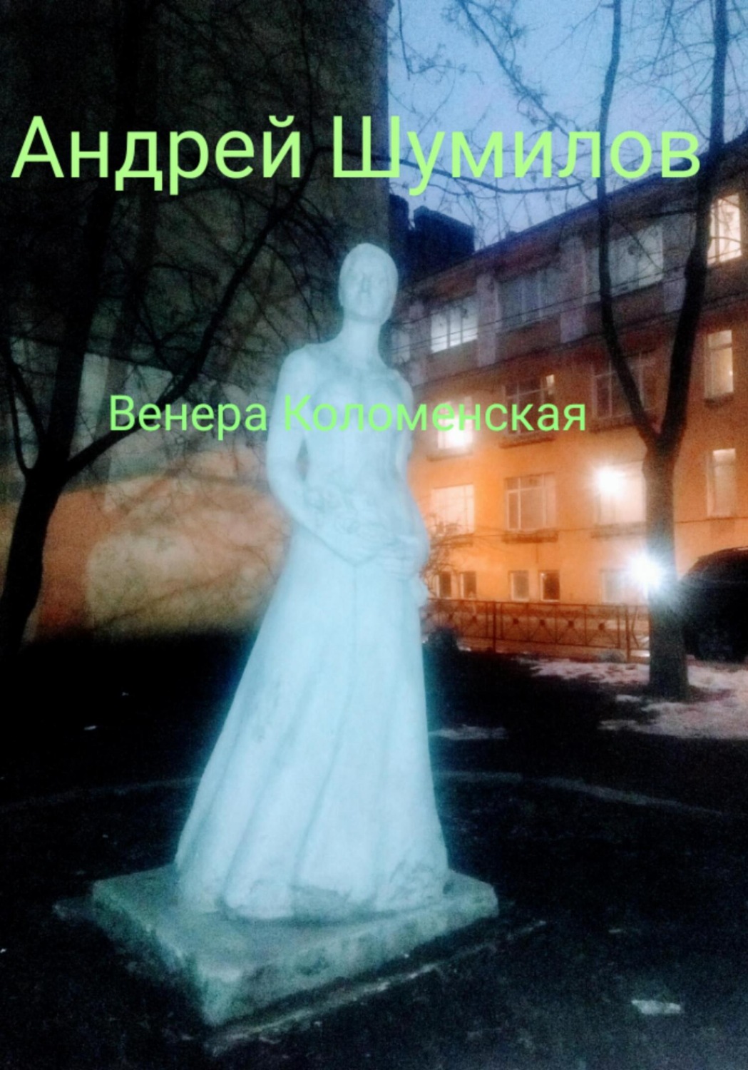 Обложка книги «Венера Коломенская»