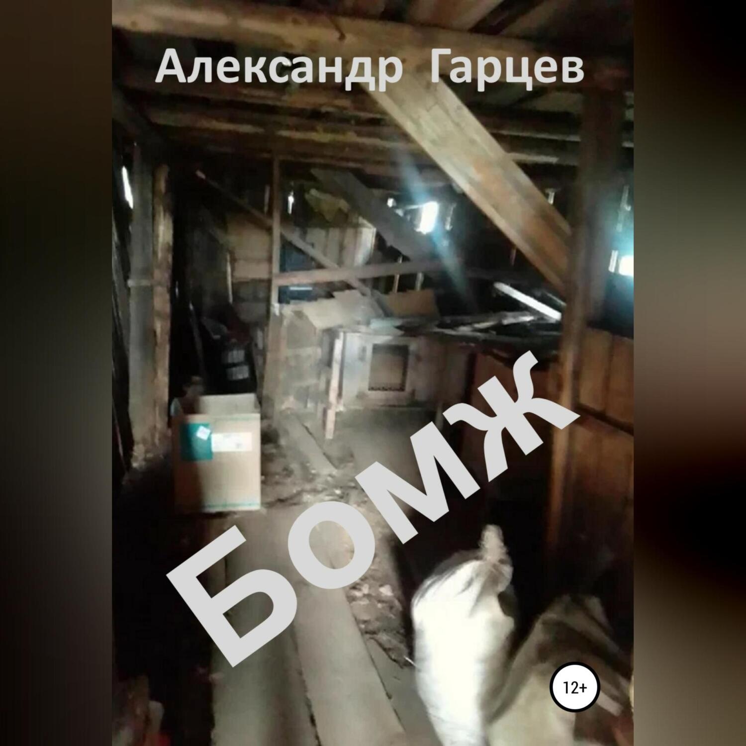 Обложка книги «Бомж»