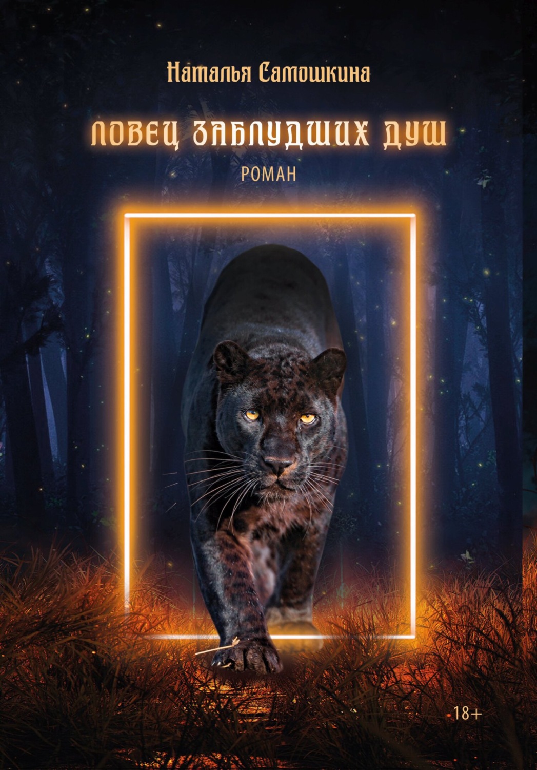 Обложка книги «Ловец заблудших душ»