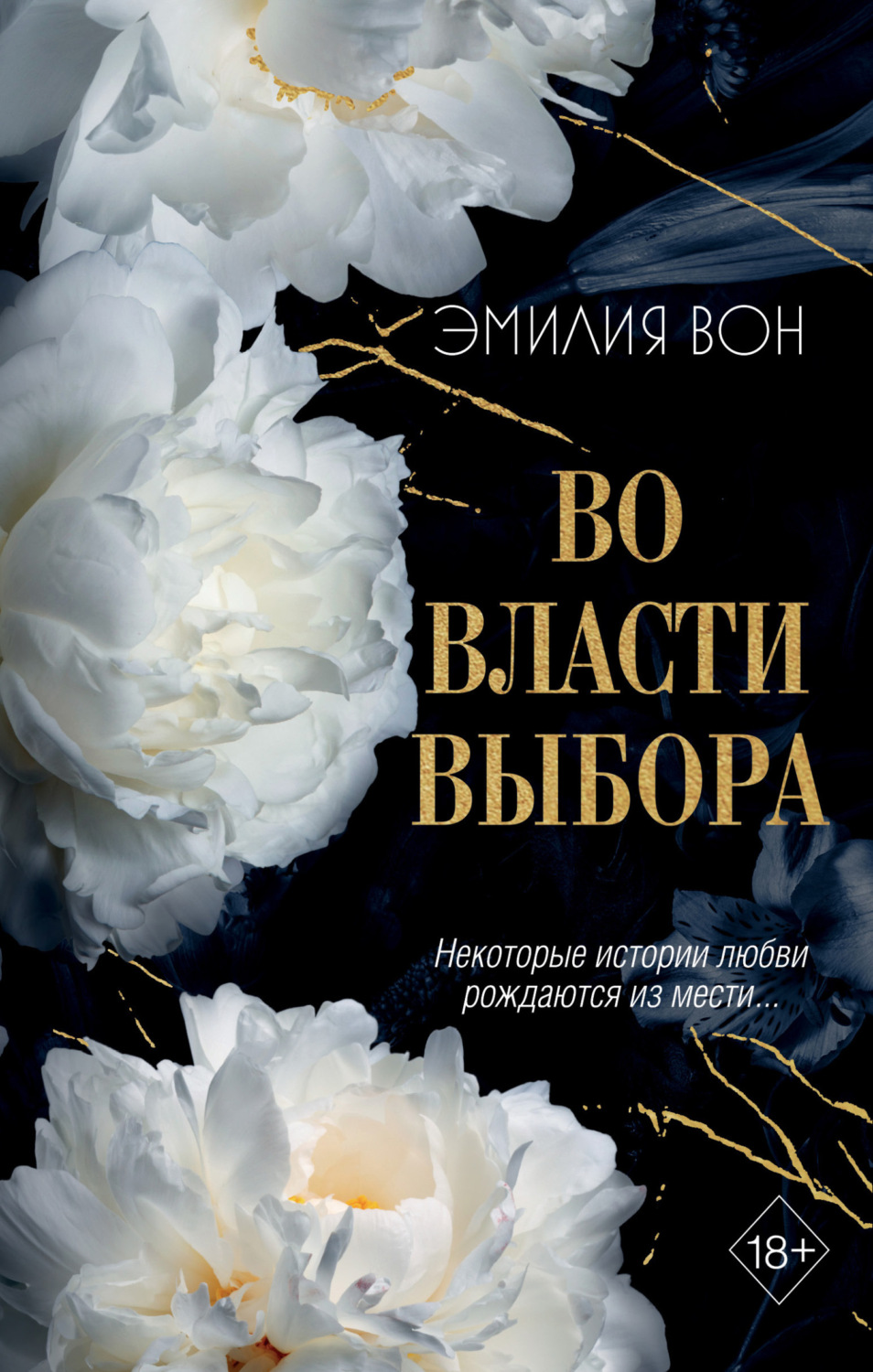 Обложка книги «Во власти выбора. Книга 1»