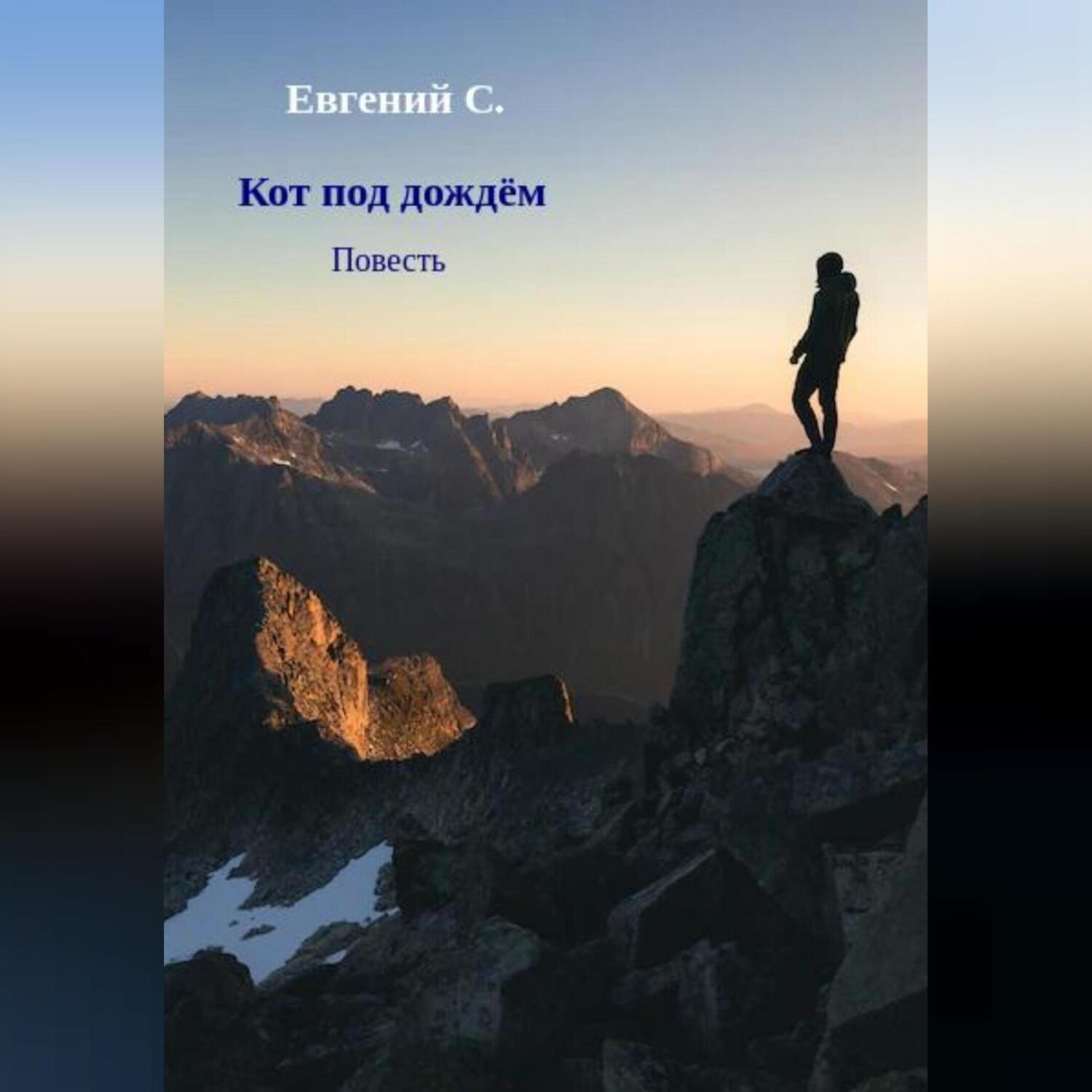 Обложка книги «Кот под дождём»