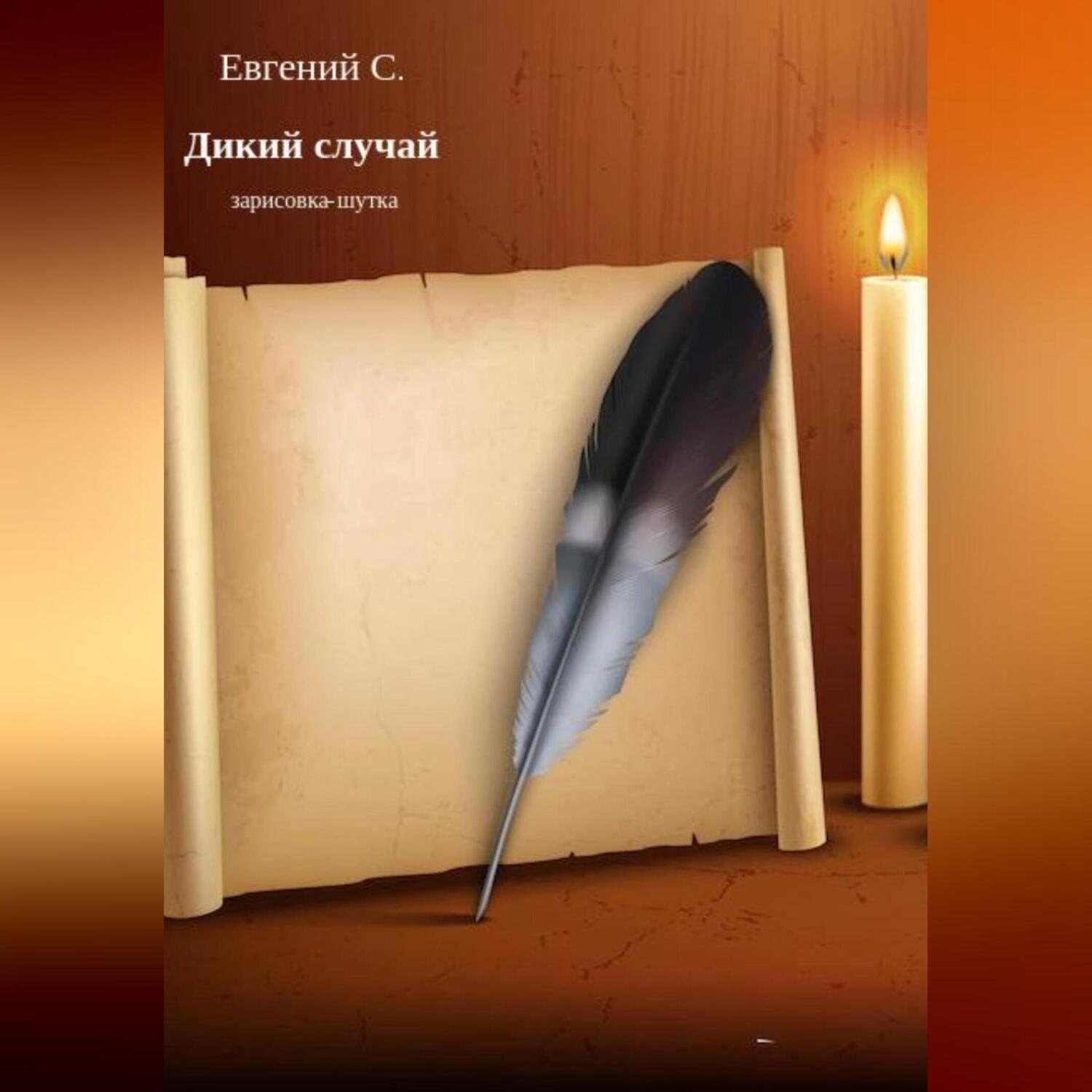 Обложка книги «Дикий случай»