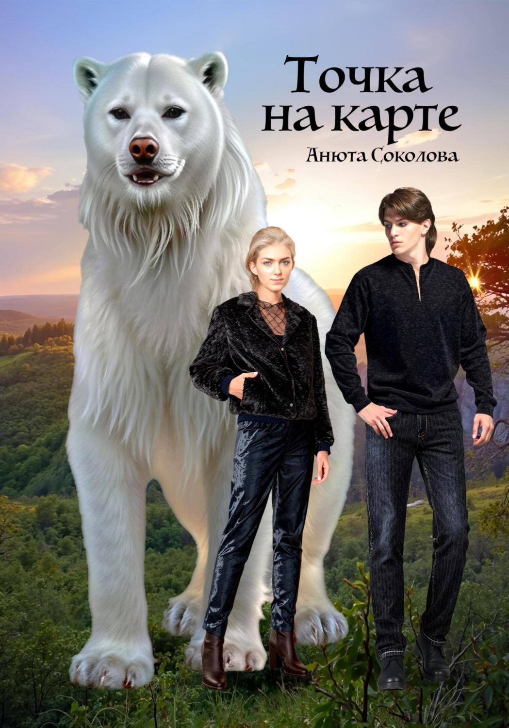 Обложка книги «Точка на карте»