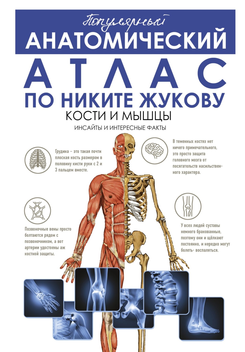 Обложка книги «Популярный анатомический атлас по Никите Жукову. Кости и мышцы. Инсайды и интересные факты»