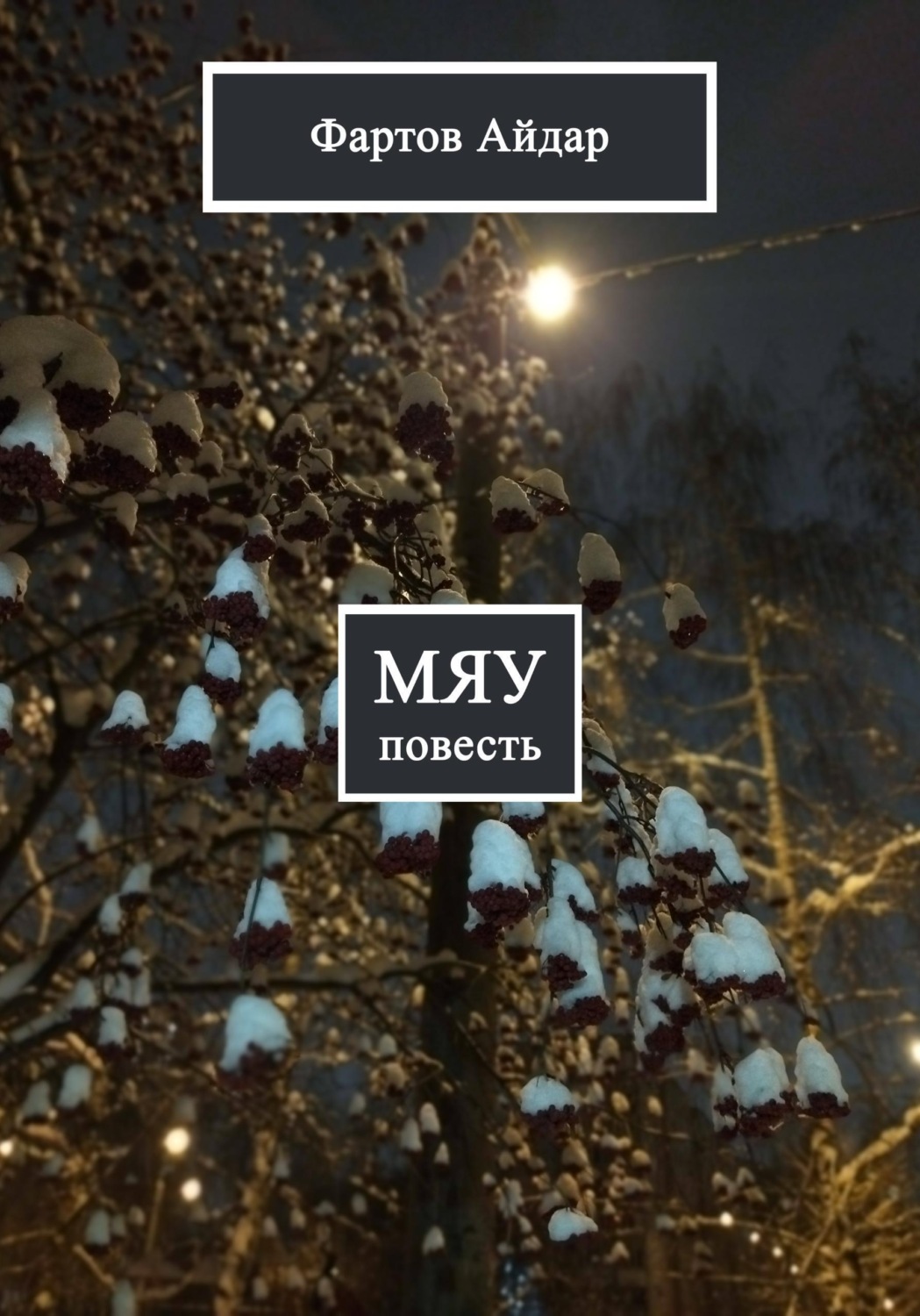 Обложка книги «Мяу»