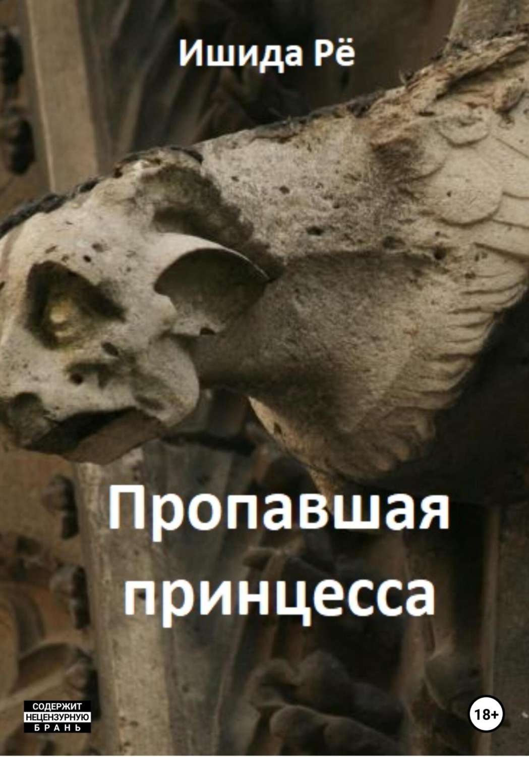 Обложка книги «Пропавшая принцесса»