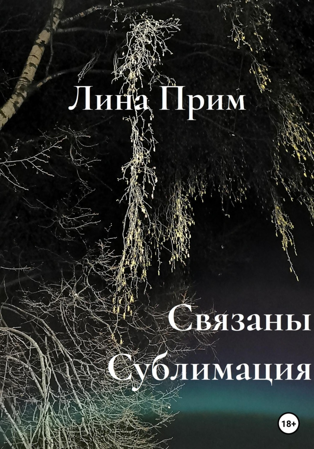Обложка книги «Связаны. Сублимация»