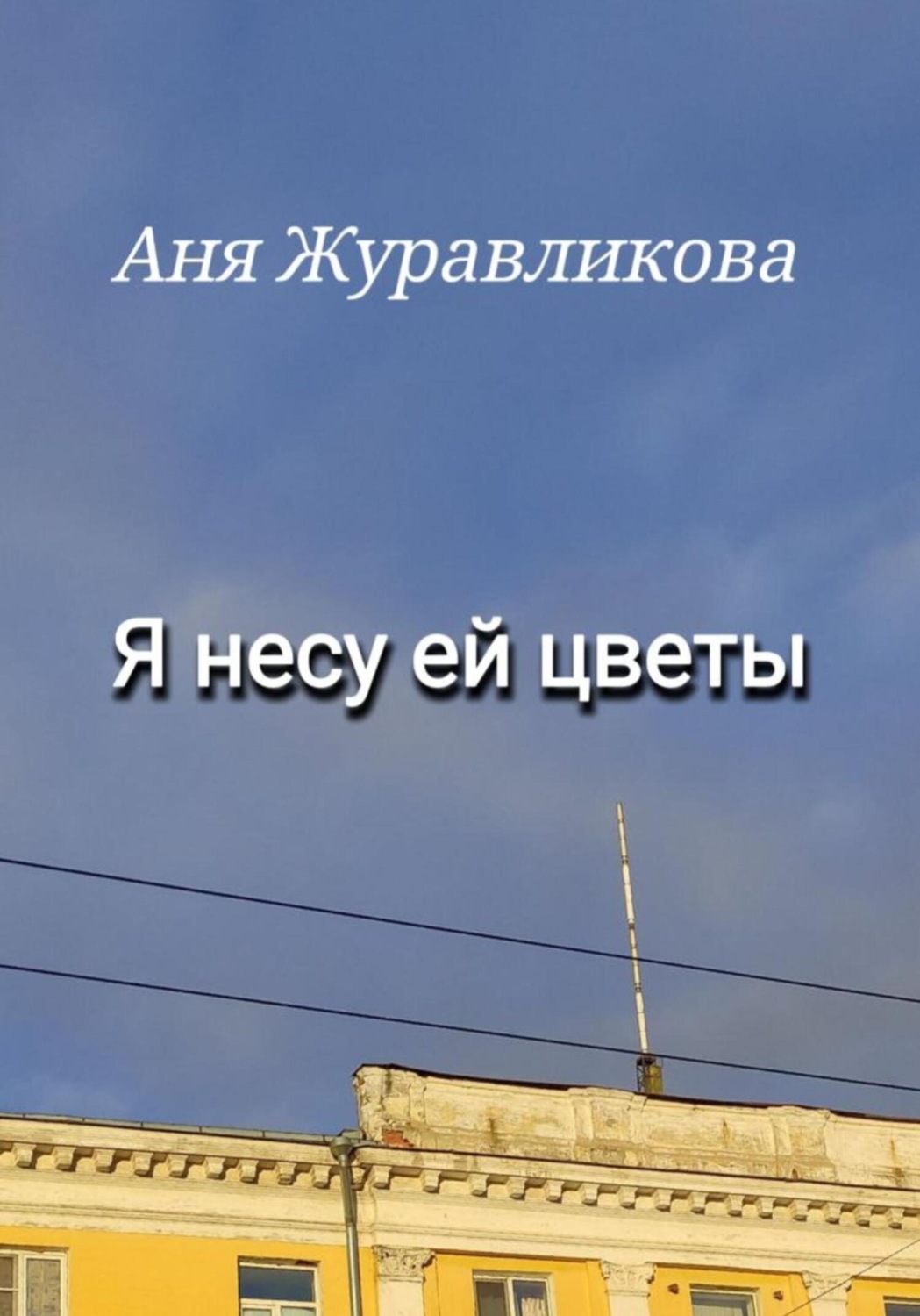 Обложка книги «Я несу ей цветы»