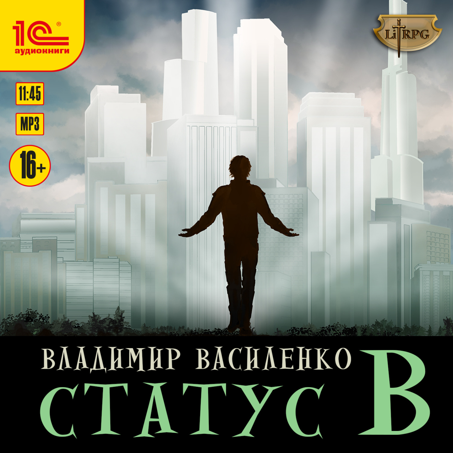 Обложка книги «Статус B»