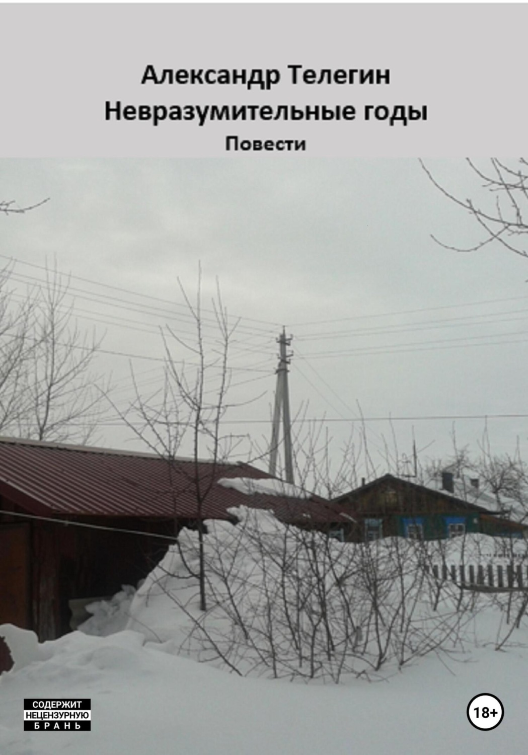 Обложка книги «Невразумительные годы»