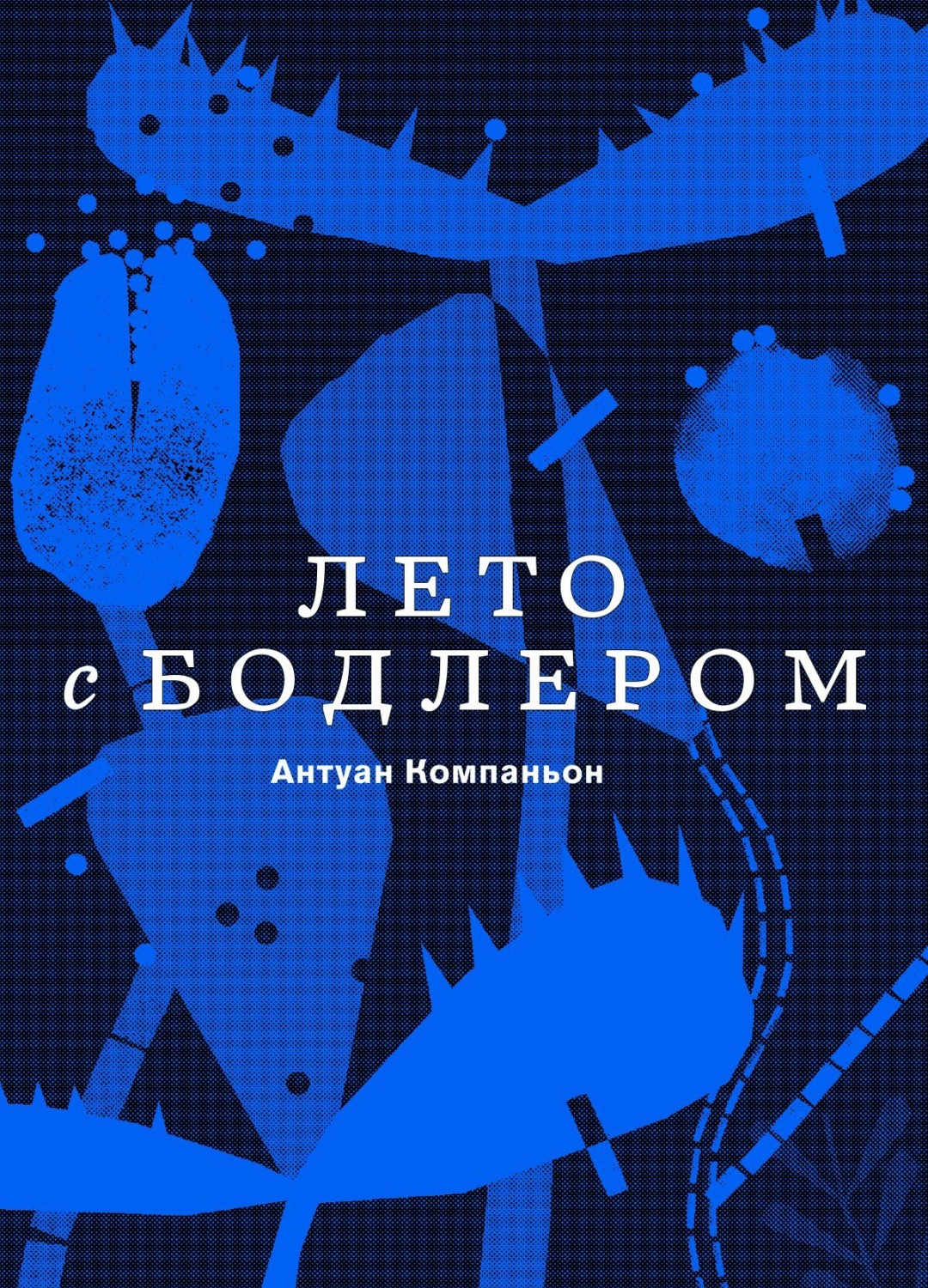 Обложка книги «Лето с Бодлером»