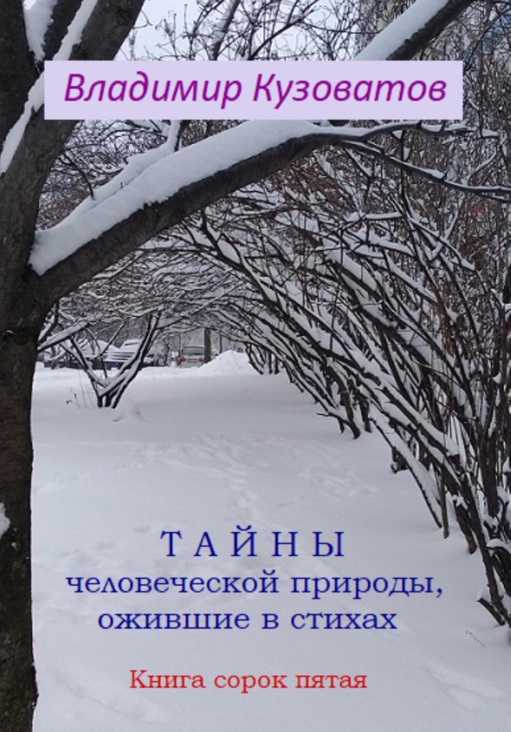Обложка книги «Тайны человеческой природы, ожившие в стихах. Книга сорок пятая»
