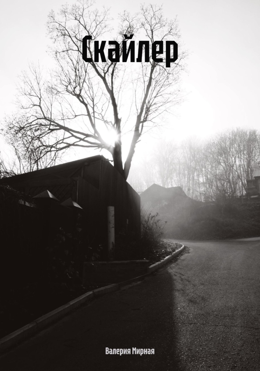 Обложка книги «Скайлер»