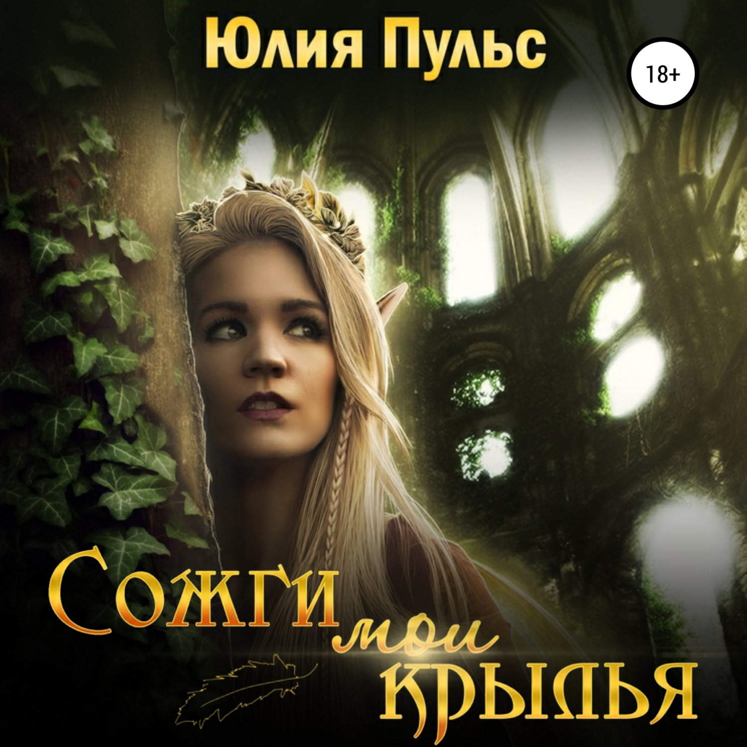 Обложка книги «Сожги мои крылья»