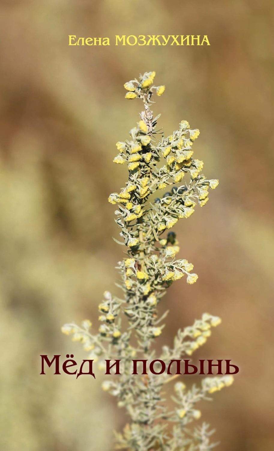 Обложка книги «Мёд и полынь»