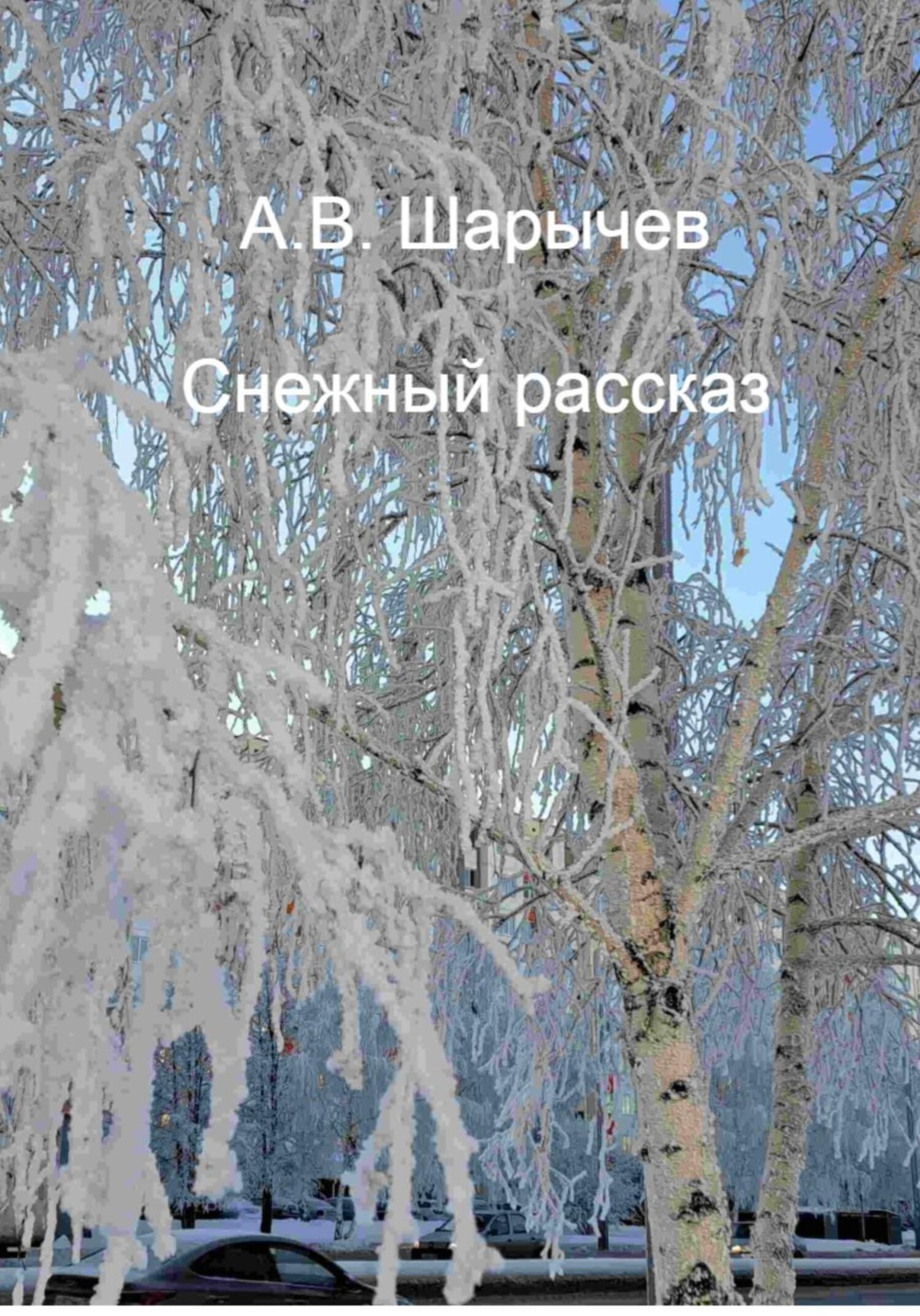 Обложка книги «Снежный рассказ»