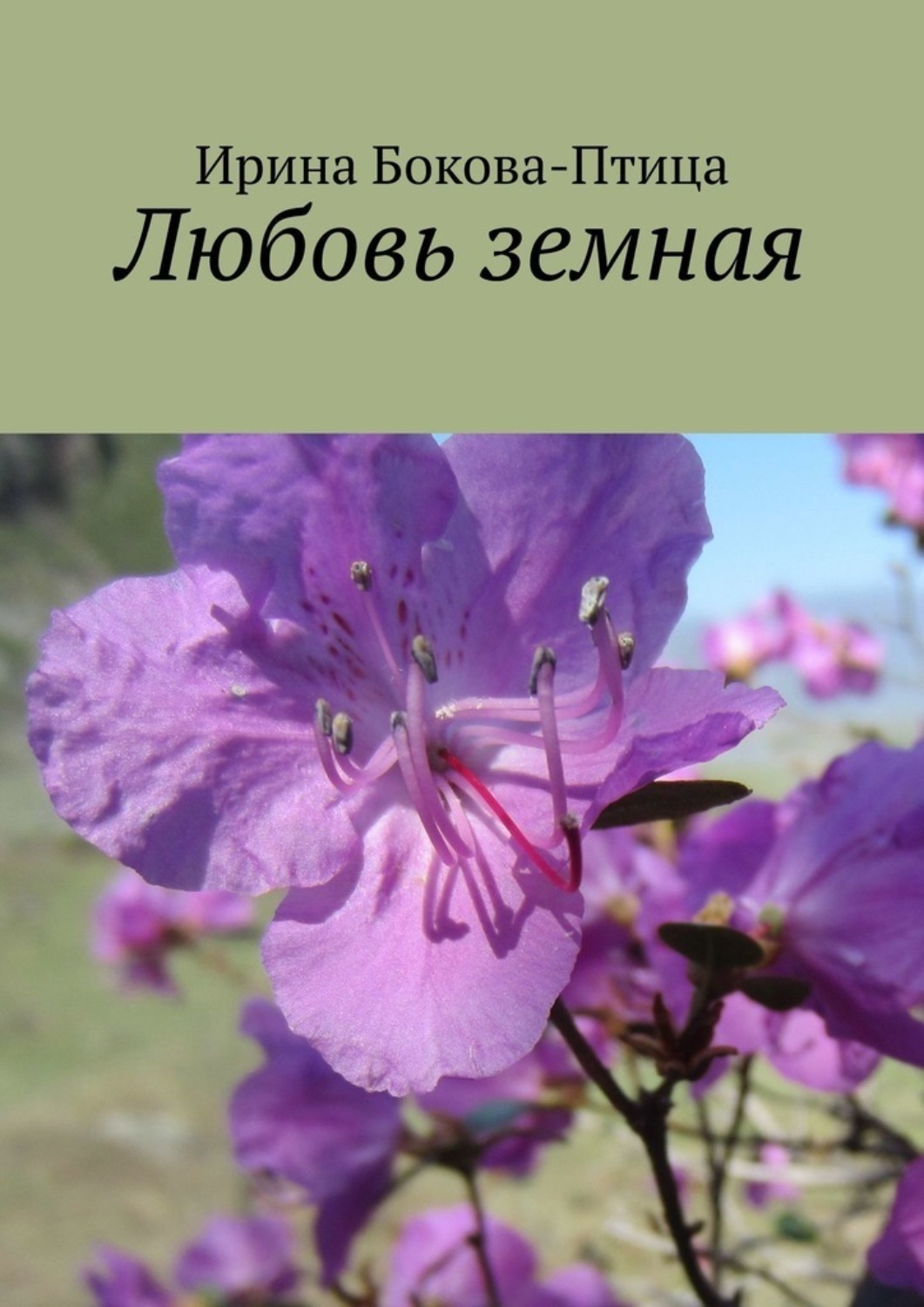 Обложка книги «Любовь земная»