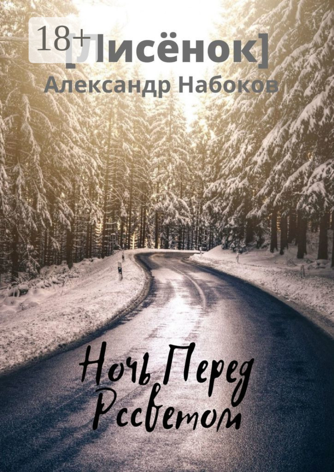 Обложка книги «Ночь Перед Рассветом»