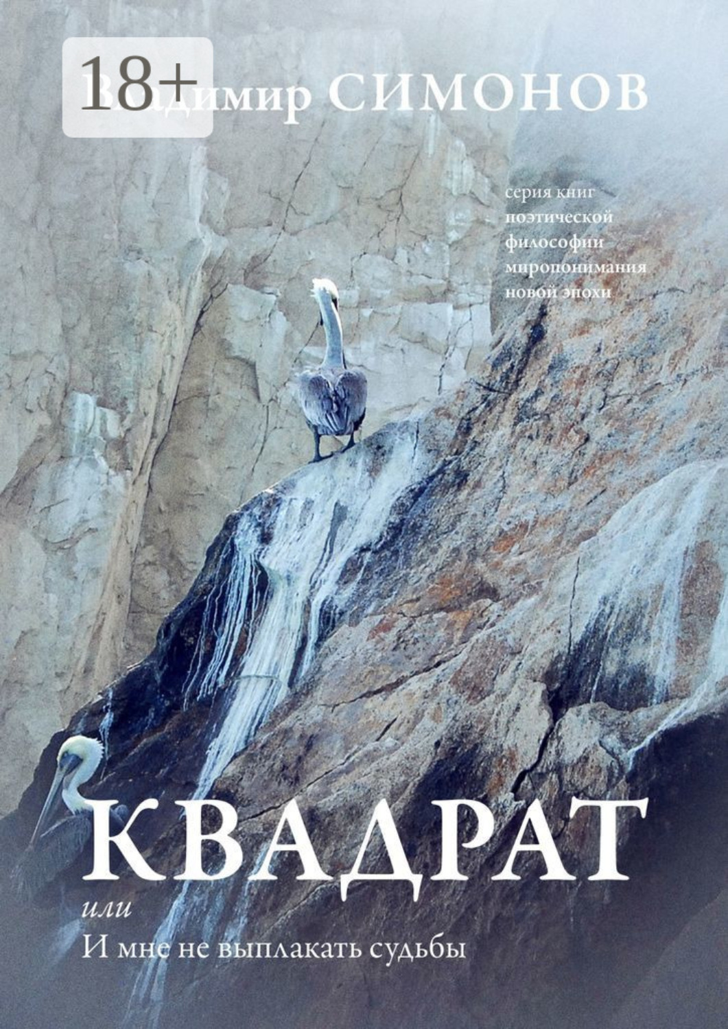 Обложка книги «Квадрат, или И мне не выплакать судьбы»