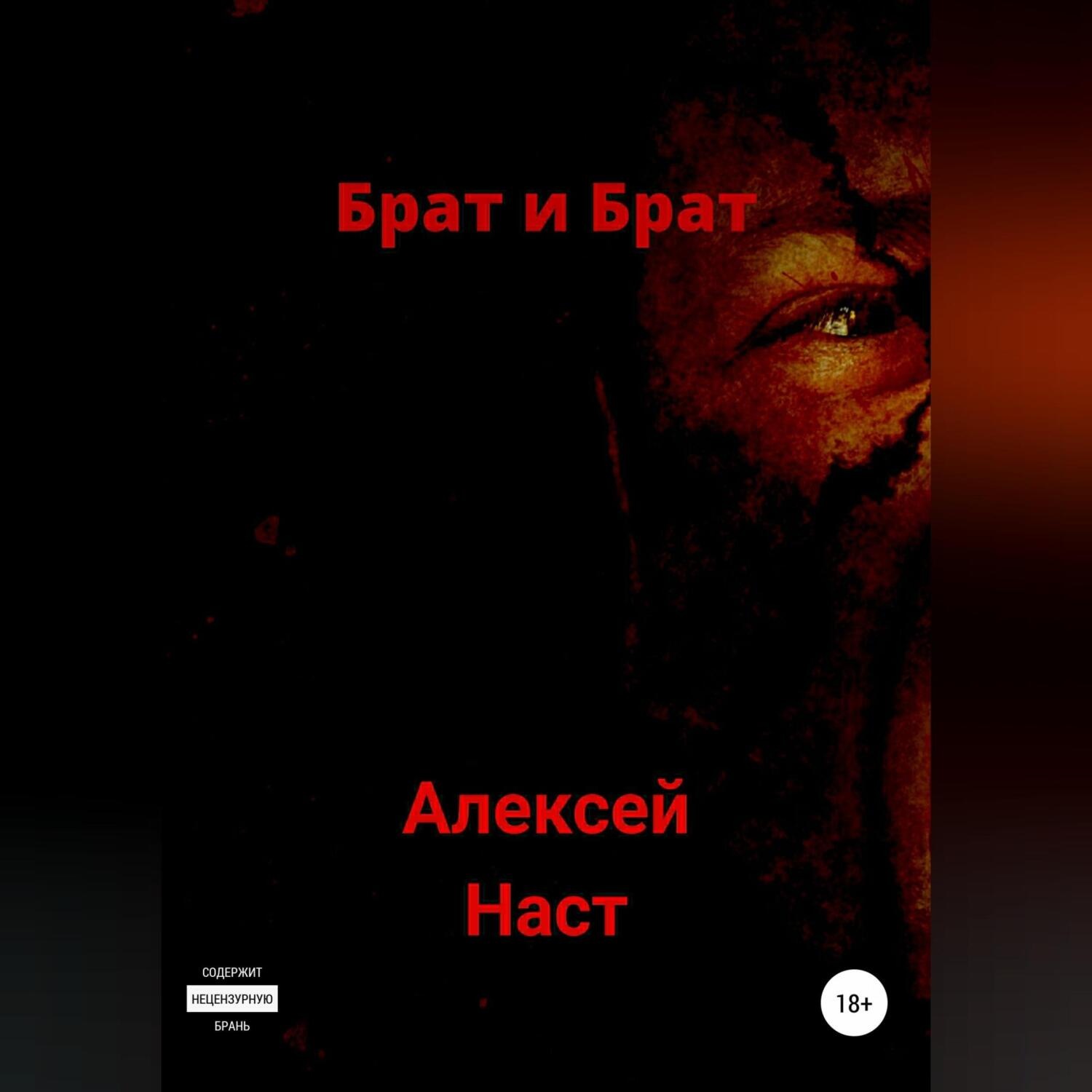 Обложка книги «Брат и Брат»