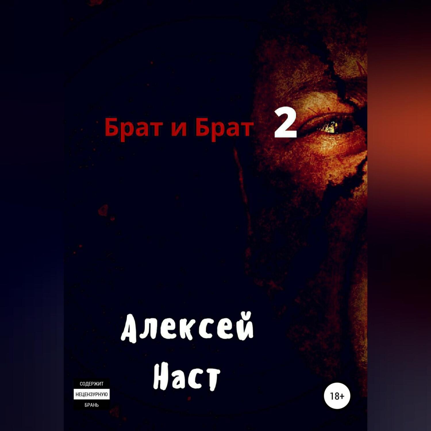 Обложка книги «Брат и Брат 2»