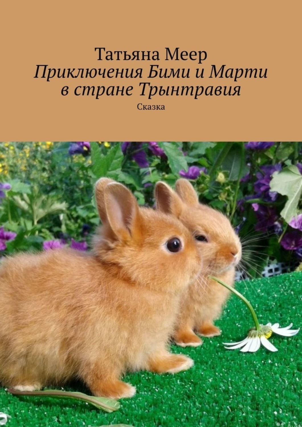 Обложка книги «Приключения Бими и Марти в стране Трынтравия. Сказка»