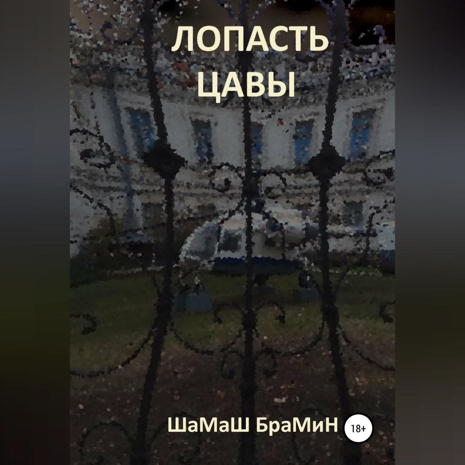 Обложка книги «Лопасть цавы»