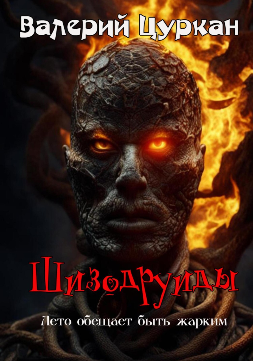 Обложка книги «Шизодруиды»