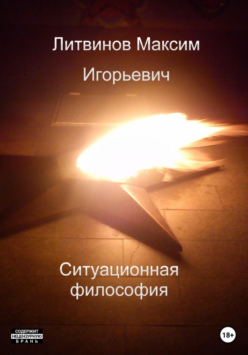 Обложка книги «Ситуационная философия»