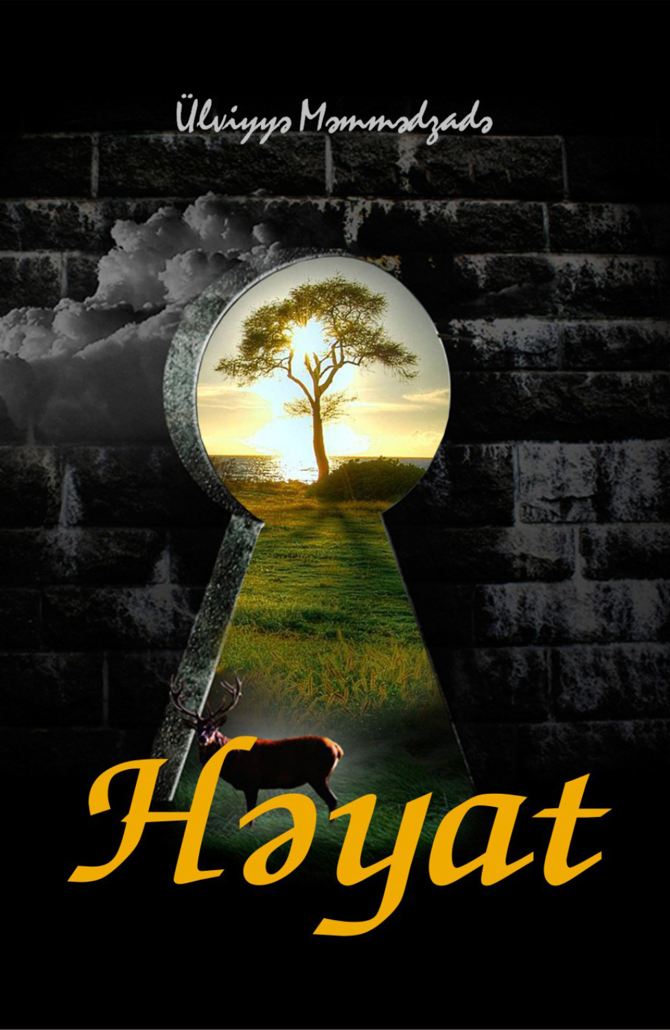 Обложка книги «Həyat»