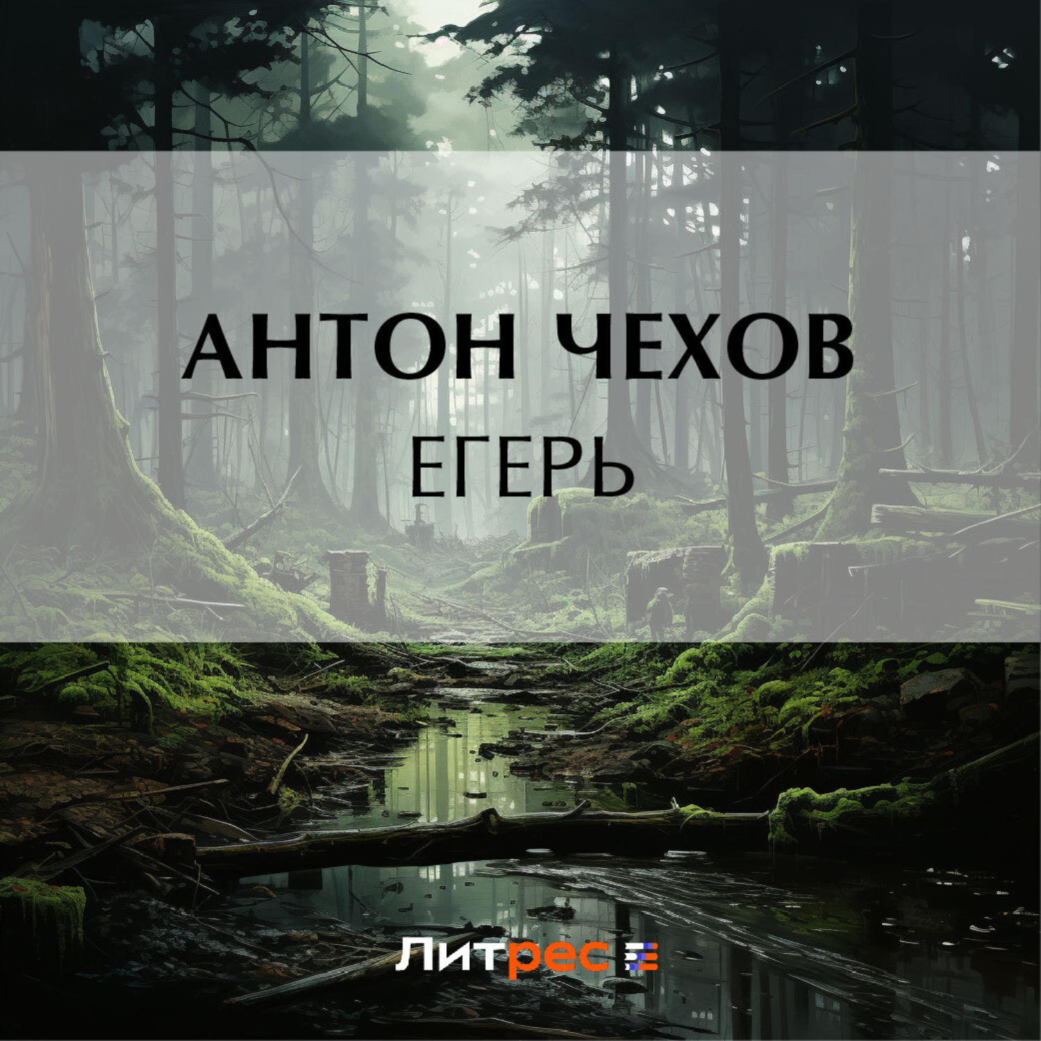Обложка книги «Егерь»