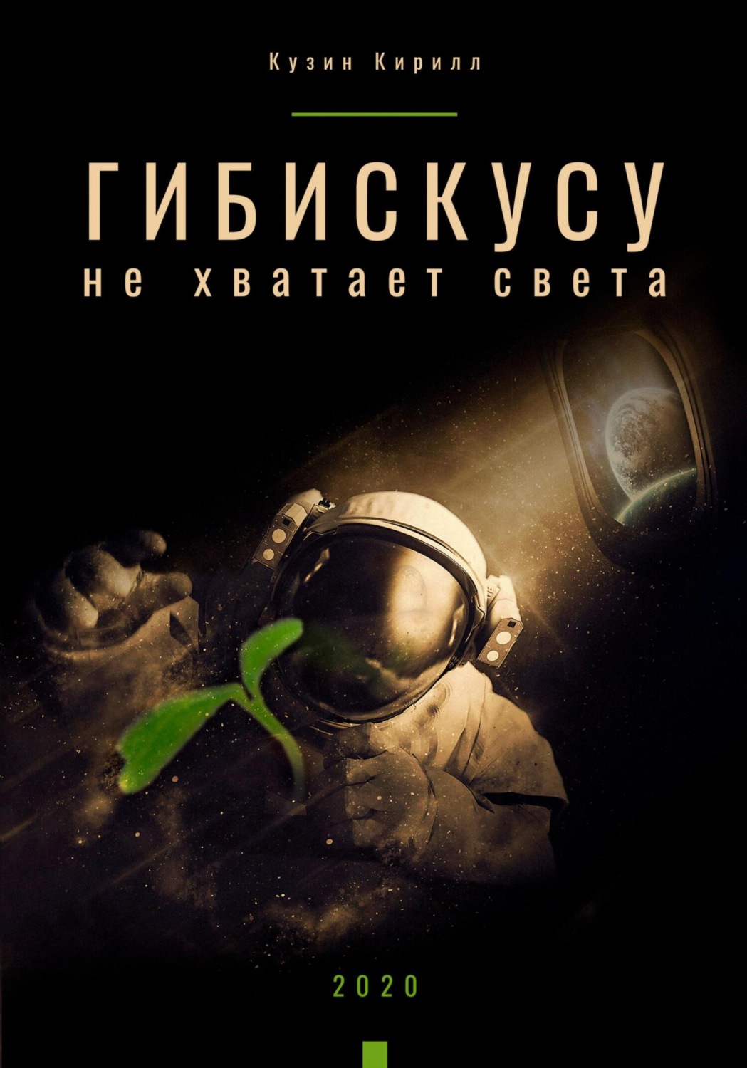 Обложка книги «Гибискусу не хватает света»