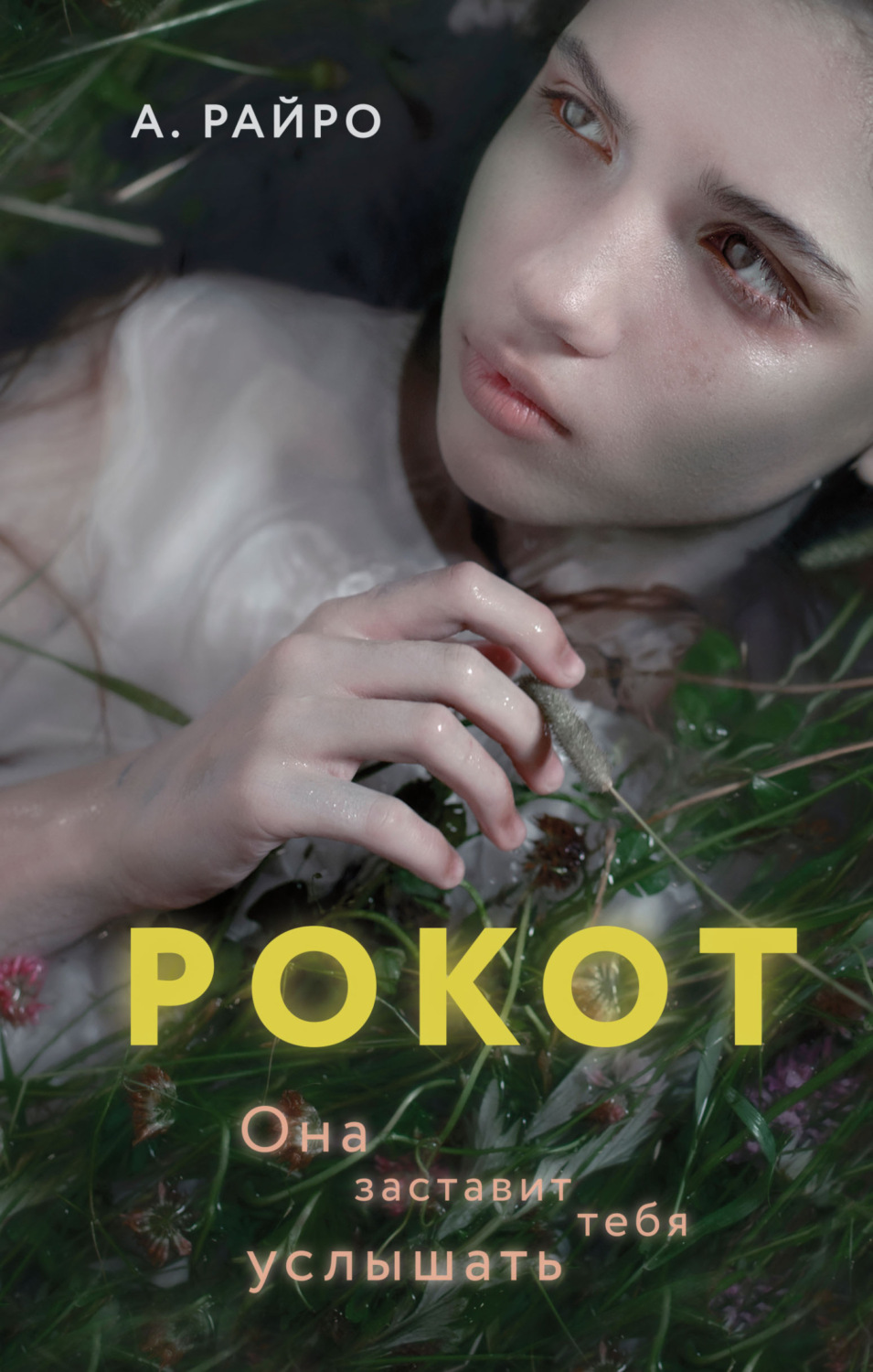 Обложка книги «Рокот»