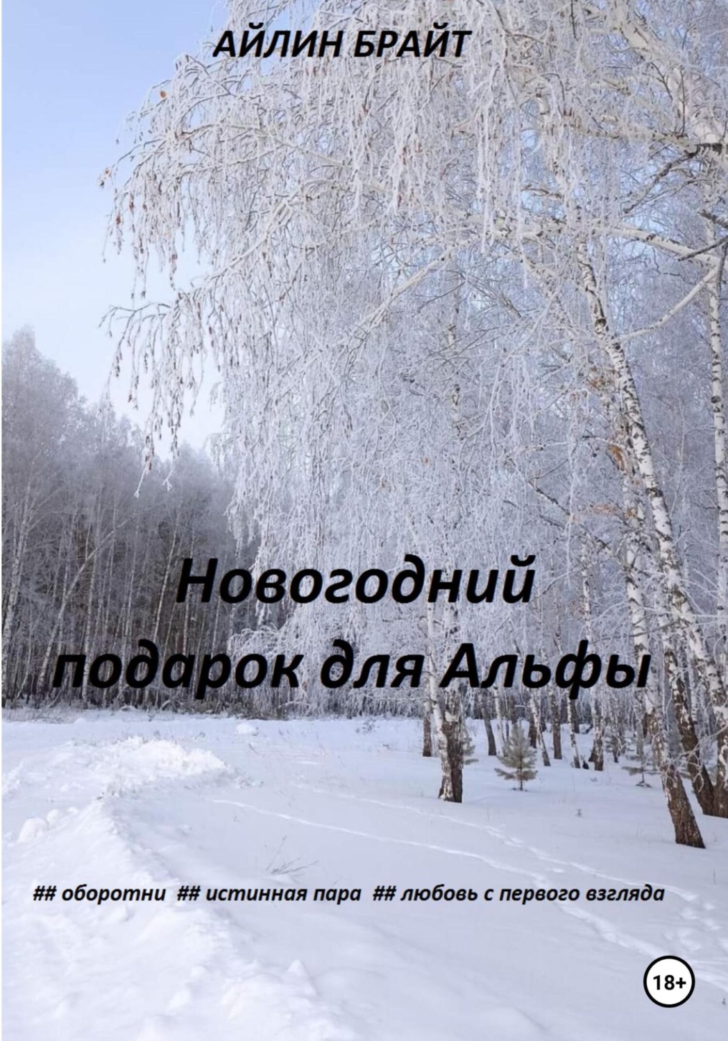 Обложка книги «Новогодний подарок для Альфы»