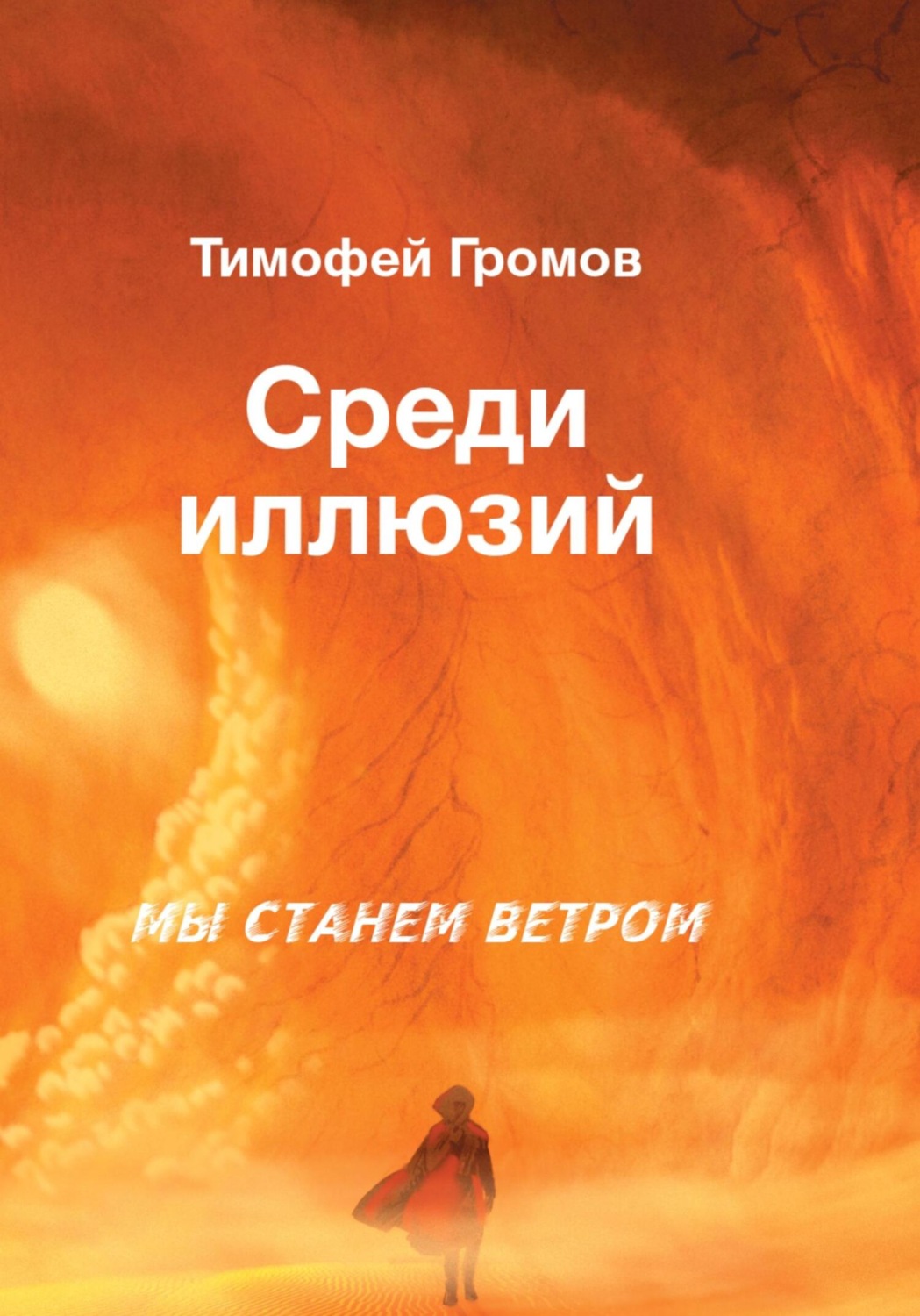 Обложка книги «Среди иллюзий»