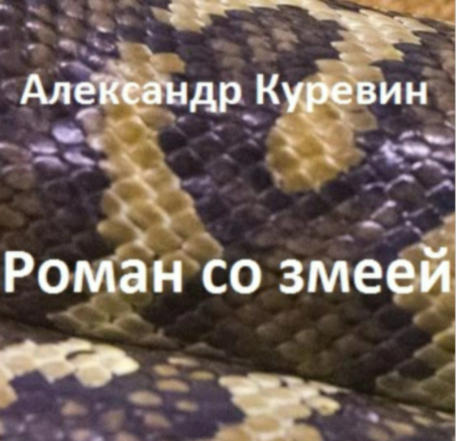Обложка книги «Роман со змеей»