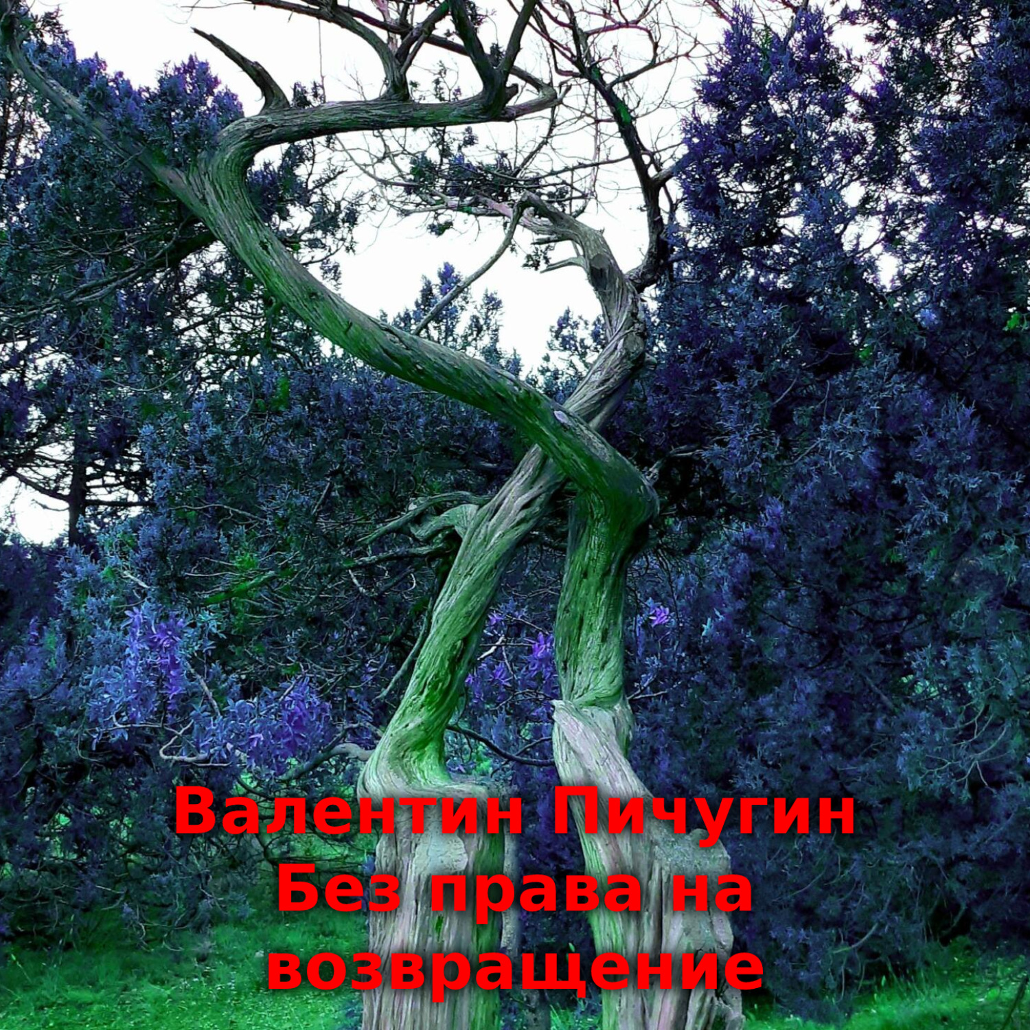 Обложка книги «Без права на возвращение»