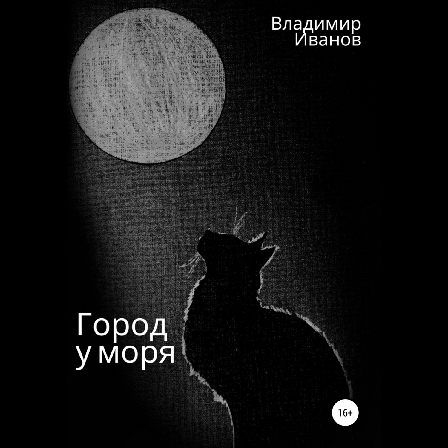 Обложка книги «Город у моря»