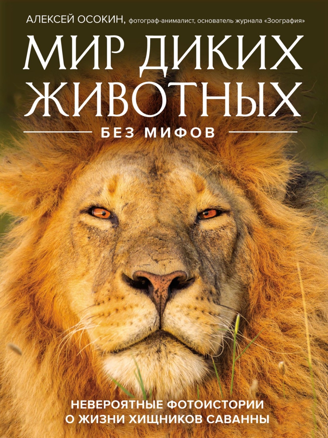Обложка книги «Мир диких животных без мифов. Невероятные фотоистории о жизни хищников саванны»