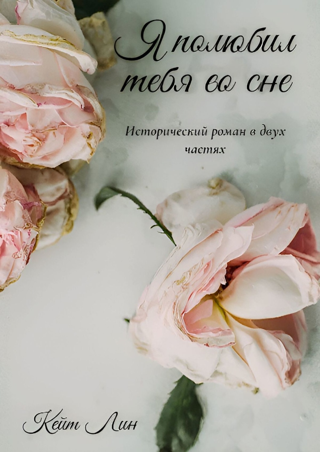 Обложка книги «Я полюбил тебя во сне»