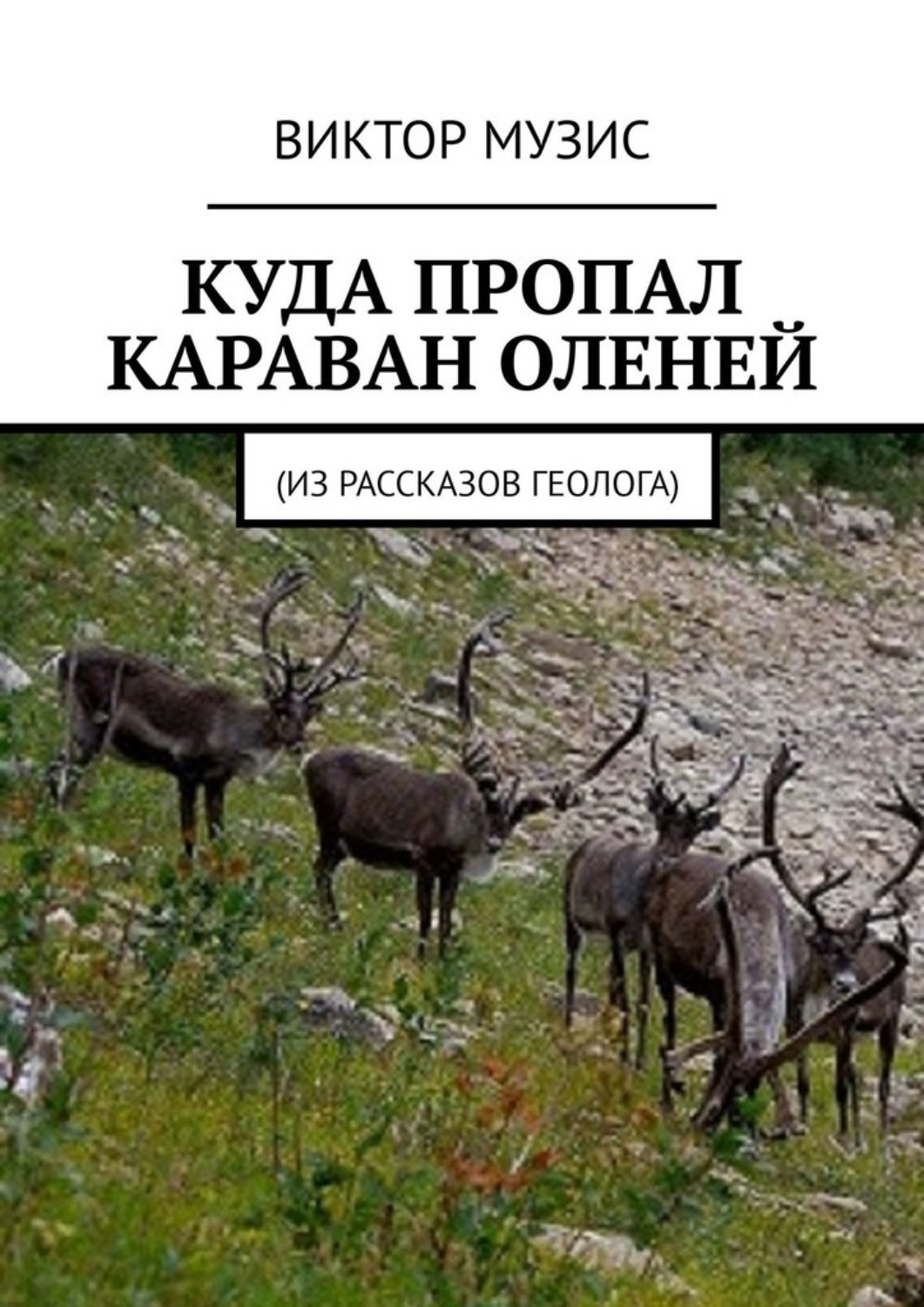 Обложка книги «Куда пропал караван оленей»