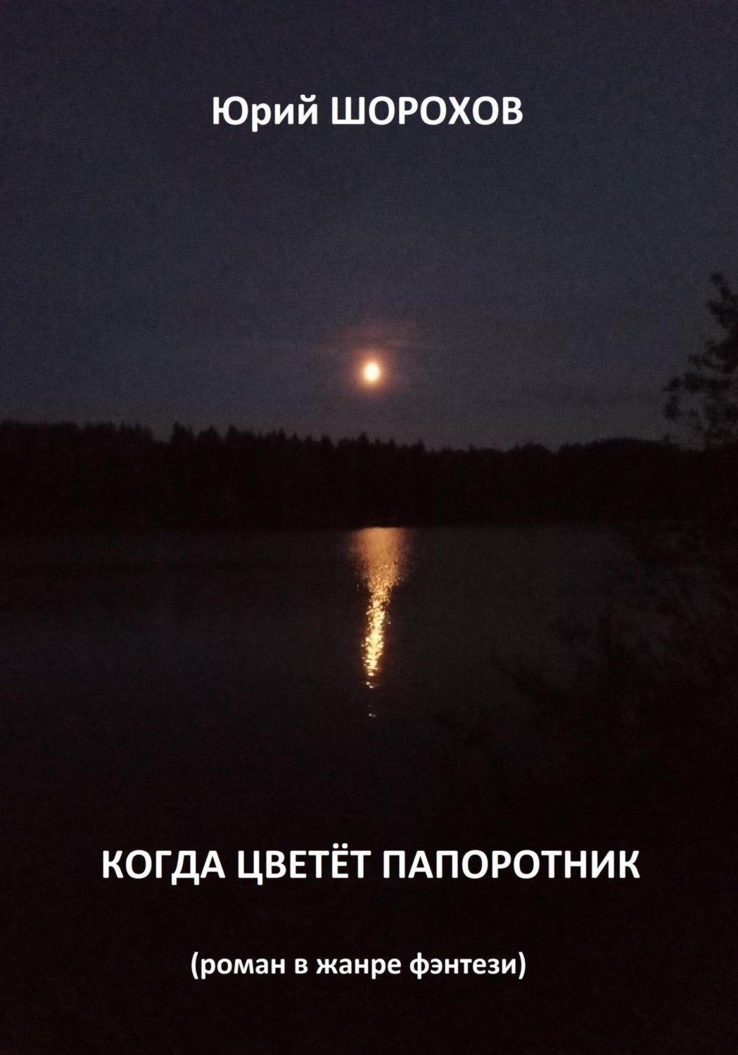 Обложка книги «Когда цветёт папоротник»