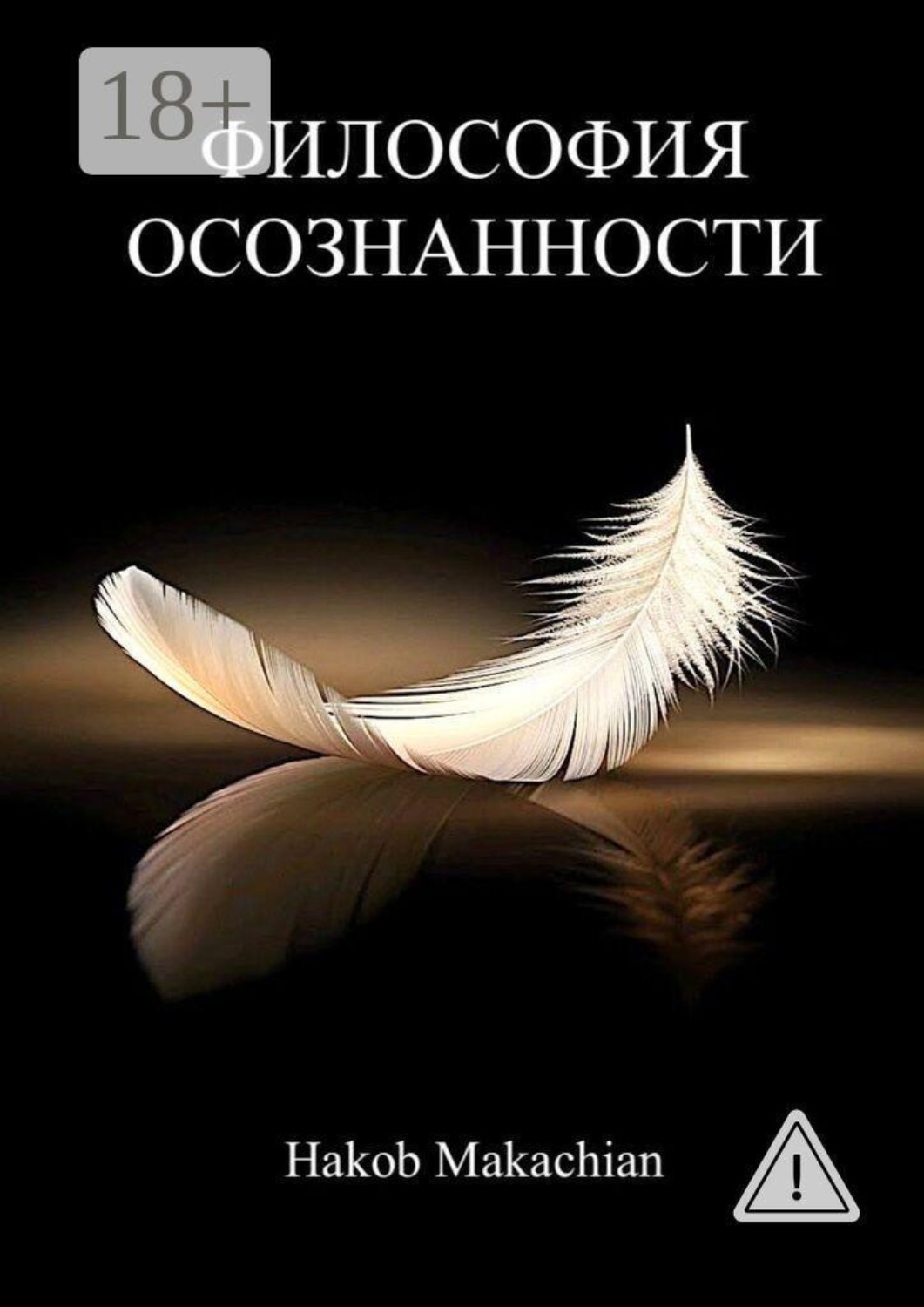 Обложка книги «Философия Осознанности»