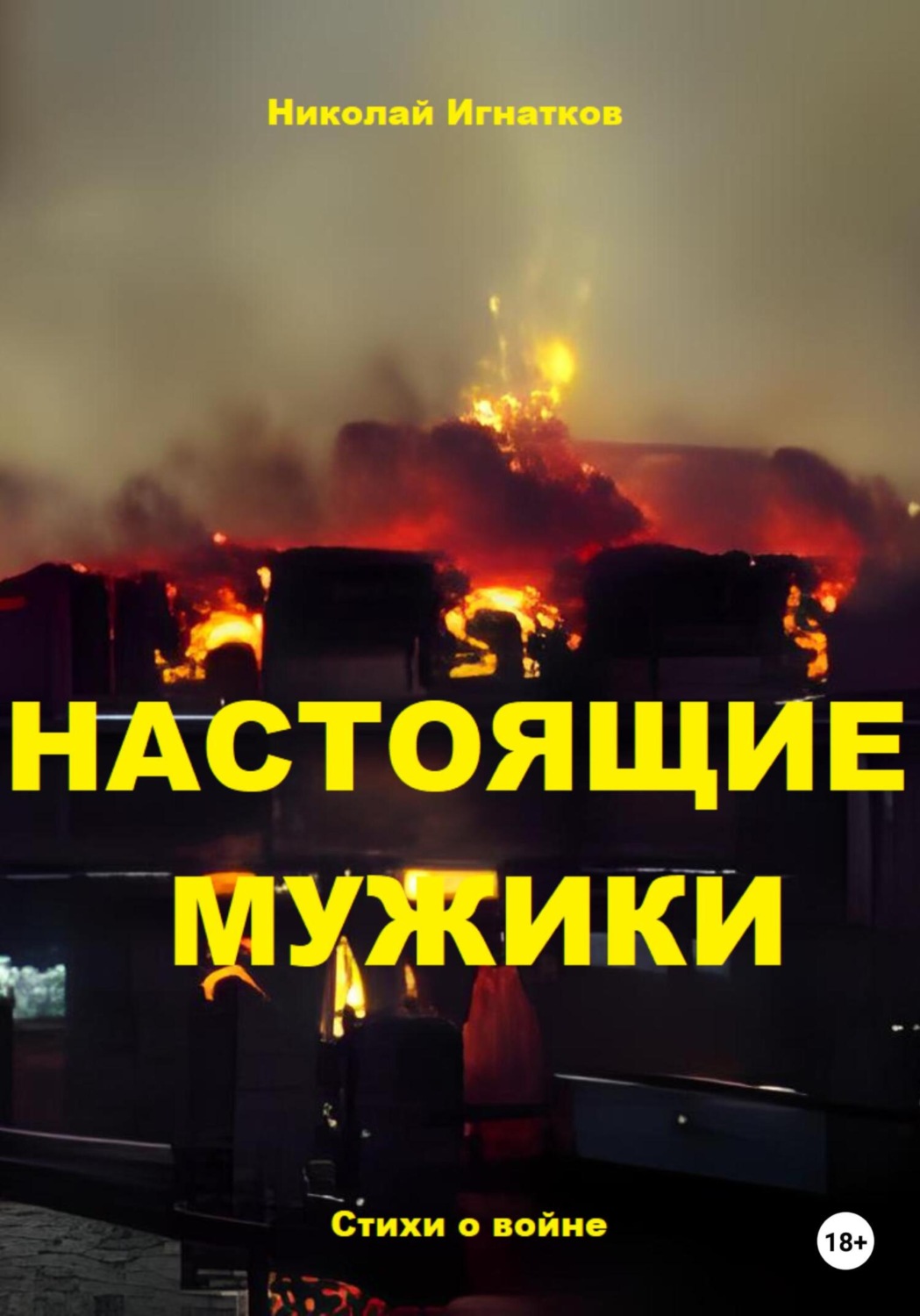 Обложка книги «Настоящие мужики»