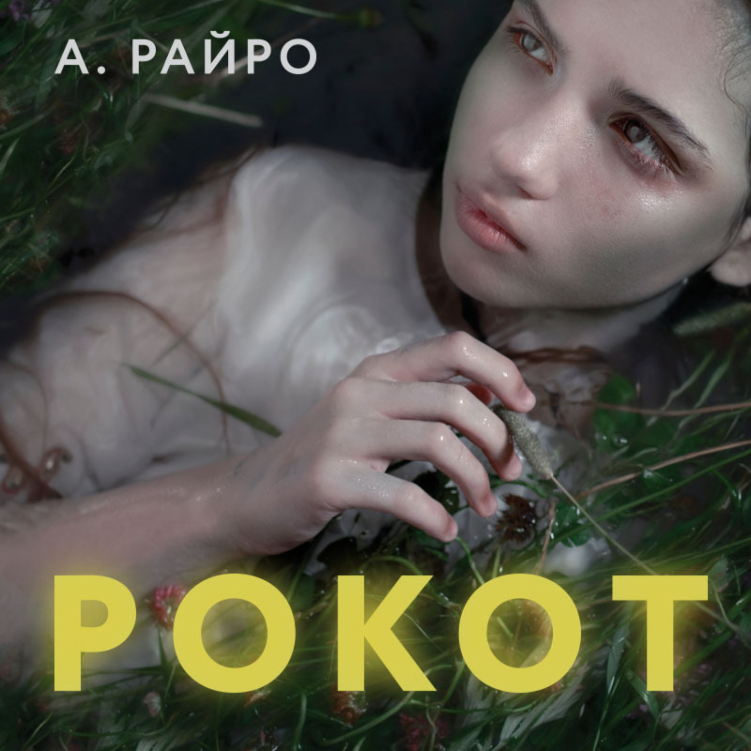 Обложка книги «Рокот»