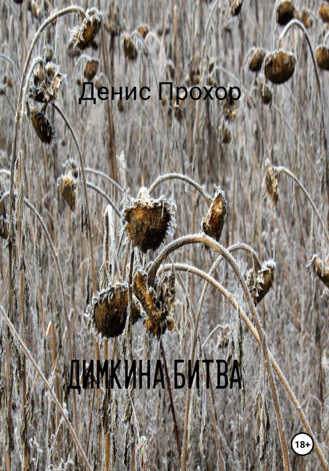 Обложка книги «Димкина битва»